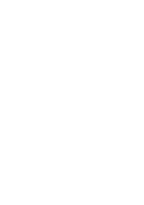RICS ICES Logos